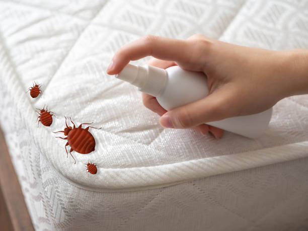 Professional Pest Control in Glencoe, FL