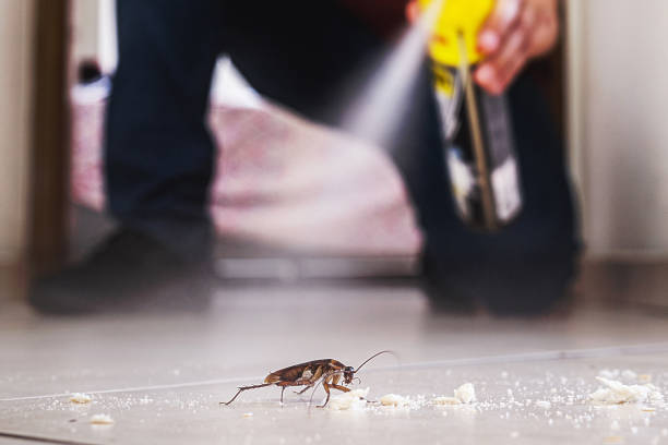 Best Exterminator Services  in Glencoe, FL